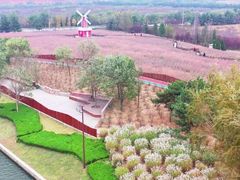 -羊亭河湿地公园