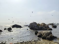 -北戴河东海水浴场