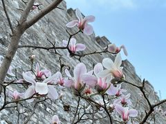 -东华门大街小区