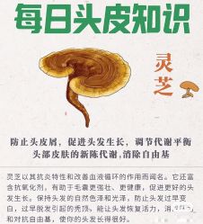 -Bollins波林丝•专研护发中心