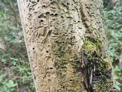 -金堂县云顶石城风景区