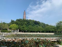 -顺峰山公园