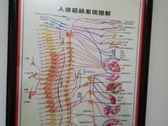 -张钰强中医正骨推拿连锁(华发商都店)