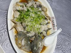 香葱淋鲈鱼-粤·向群饭店(龙津东路总店)