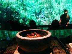 -地球美食剧场