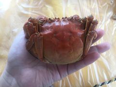 -乡乐园蟹庄·阳澄湖农家乐