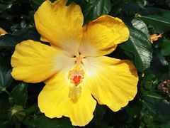 iphone_upload_pic-长木花园