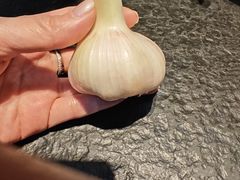 -高家烧鸽子烧烤店63年
