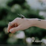 贵阳版苏州园林