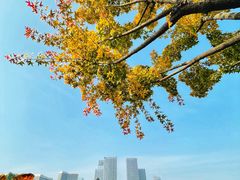 -西海子公园