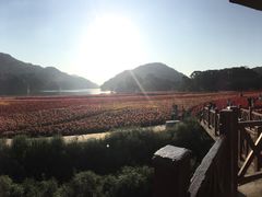 -广州市石门国家森林公园