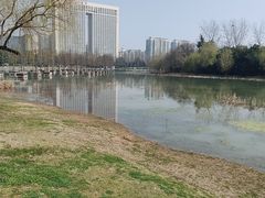-合肥生态公园