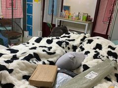 -9A青年公寓(深圳罗湖口岸店)