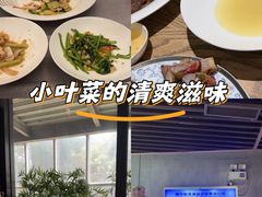-金成潮菜博物馆(海珠湿地店)