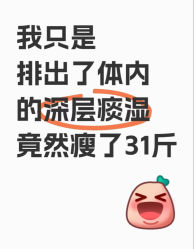 -Fundi张玉珊修身堂·indiba·BTL科技瘦身
