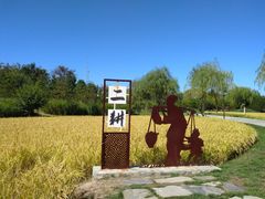 -北坞公园