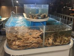 -黑木原精致料理·铁板烧