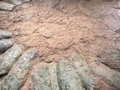 -河南自然博物馆
