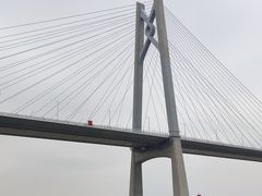 -招商蛇口邮轮母港(观光客运)
