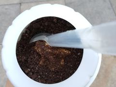 -麦丽丝红油辣椒冰淇淋(江家巷店)