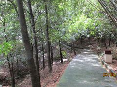 -羚羊峡古栈道森林公园
