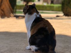 -阿尔罕布拉宫