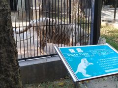 -广东茂名森林公园