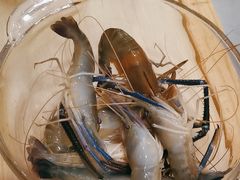 -椰子湾·海南火锅·糟粕醋·椰子鸡(正大广场店)