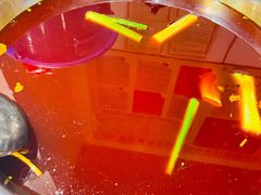 -肖肖酸萝卜鱼火锅(总店)