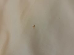 -7天优品·北京国贸大望路地铁站店