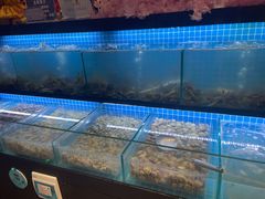 -海鲜时间自助餐厅(如皋万达广场店)