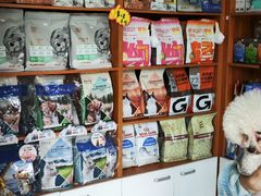 -瑞派雷欧宠物医院·中兽医·眼科·急重症转诊中心(黄台店)