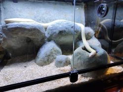 -酷嗒动物文化乐园(cutezoo西溪乐天城店)