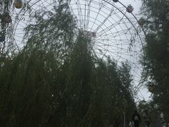 远观摩天轮-红石寨旅游度假区