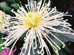 -上海市龙华烈士陵园