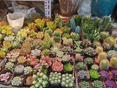 -三旗百汇商品城