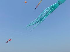 -天津东疆湾沙滩景区