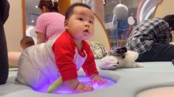 -超级奈尔宝SUPER NEOBIO(杭州星光店)