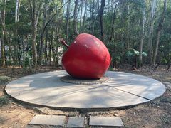 -深圳国际园林花卉博览园