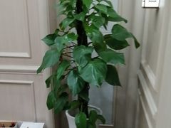 -四季轩中餐厅·萧山味道·运河家宴(三立开元名都店)