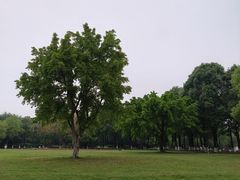 -眉山湿地公园(东坡区)