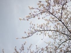 -堤角公园