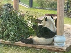 -无锡动物园·太湖欢乐园
