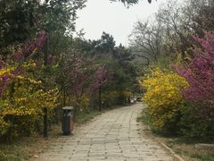 -浮山香苑