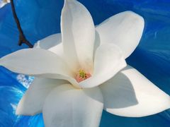 -共青国家森林公园-售票处