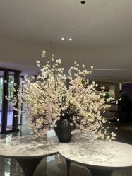 -广州美莱医疗美容医院