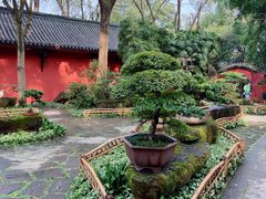 -成都武侯祠博物馆