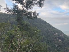 -三亚亚龙湾人间天堂鸟巢度假村