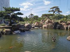 -罗红摄影艺术馆