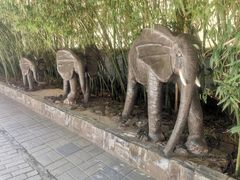-呀路古热带植物园